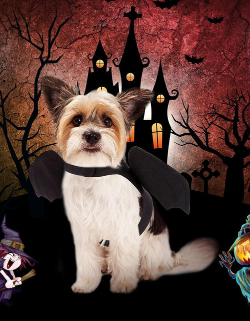 Load image into Gallery viewer, Dog Halloween Costume - Halloween Bat Wings Pet Costumes for Dogs Cats Halloween Party Medium
